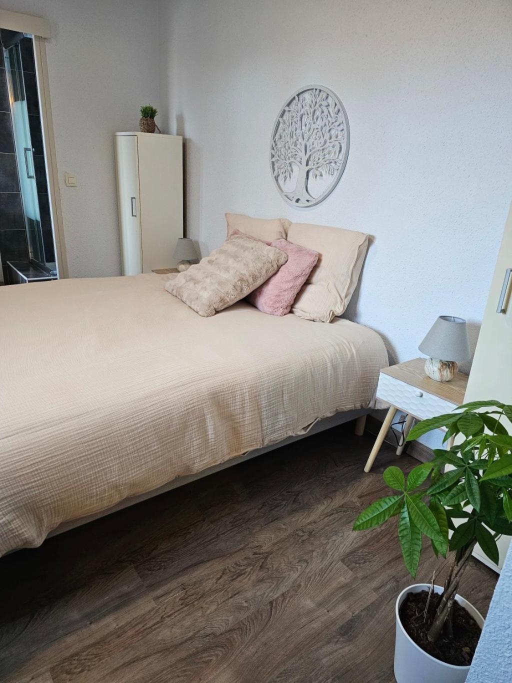 Residence Du Soleil Collioure Zewnętrze zdjęcie